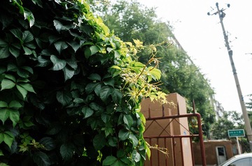 GR000487