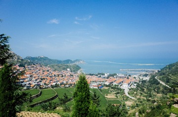 GR000620