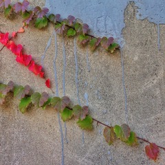 2014-10-18 073652
