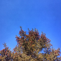 2015-03-12 112731(1)