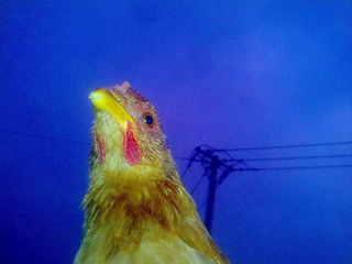 201210031018.jpg