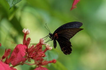 A5620374-D16C-4878-B1DE-A36B1F5CF7B9/L0/001