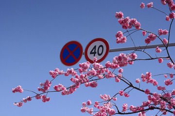 328379