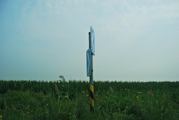 176630