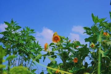 B0A13C6D-A68F-42A9-961D-767836718E8B/L0/001