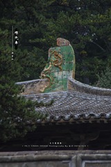 1000169750