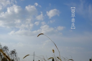 DSCF3120_2