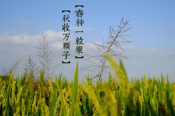 DSCF3154_0