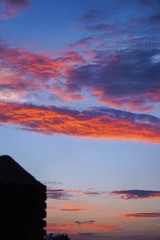 8B7B1623-B18F-43E8-8FF2-96801A755091/L0/001