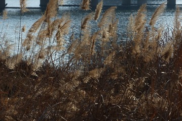 6E37CB6F-EE31-457D-98A1-0D1C5967D1BD/L0/001