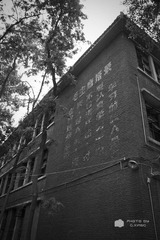 毛主席语录