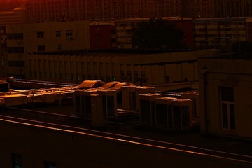 1000064398