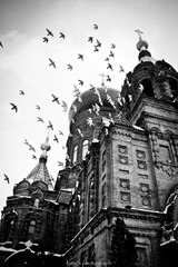_MG_3704-2.jpg