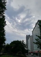 1305813