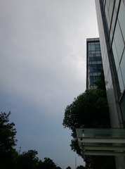 1305801