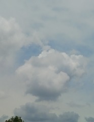 1290725