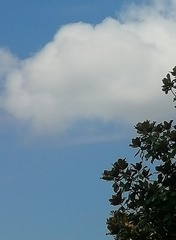 1290719