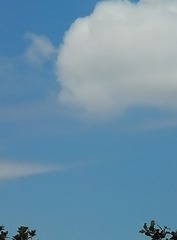 1290718