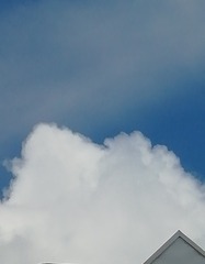 1290721