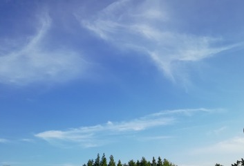 1242934