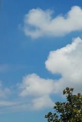 1290717