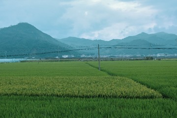 CA33FC63-5F95-4A67-B481-7D0F259479CE/L0/001