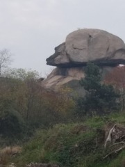3191367