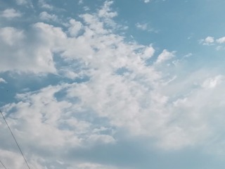 1113782