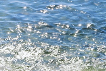 772E070C-6A69-4A0F-9C4B-2878C1AB84D8/L0/001