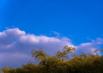 A5D458C0-216B-41F0-B55B-091D9C5DCDE3/L0/001