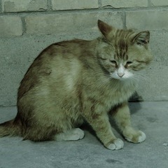 IMG_4766.JPG