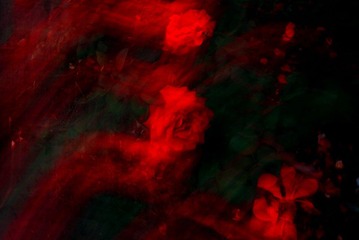IMG_5182(1).jpg