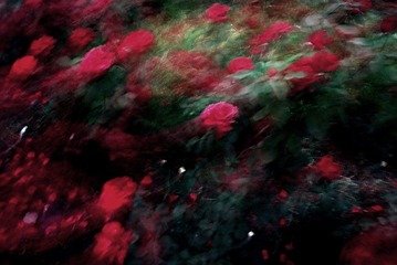 IMG_5203(1).jpg