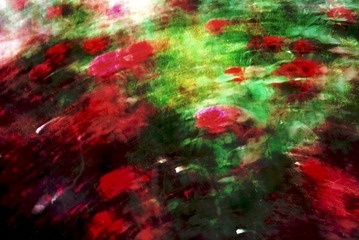 IMG_5204(1).jpg