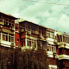 IMG_5566.JPG