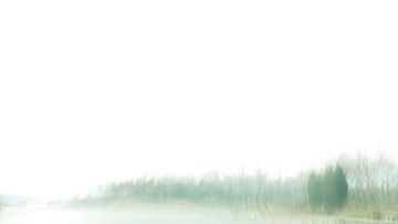IMG_0950.JPG