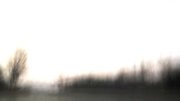IMG_0952.JPG