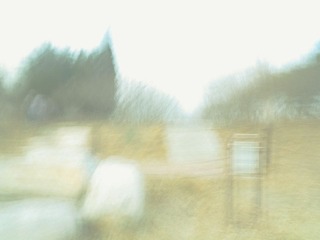 IMG_0972.JPG
