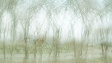 IMG_1000.JPG
