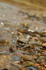 DSC_6138.jpg