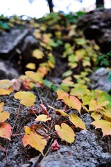 DSC_2584.jpg