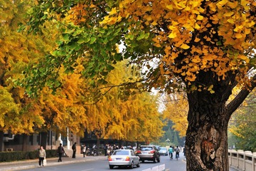 DSC_2657.jpg