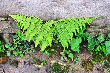 DSC_2752.jpg
