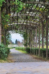 DSC_2807.jpg