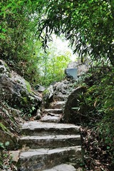 DSC_2854.jpg