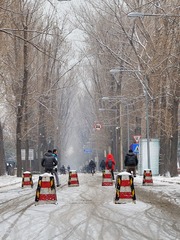 DSC_4425.jpg