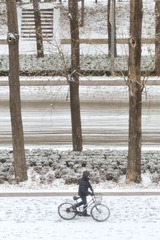 DSC_4434.jpg