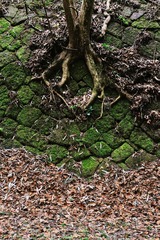 DSC_5047.jpg