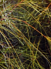 DSC_5842.jpg