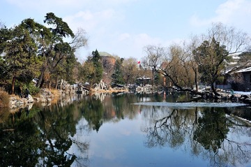DSC_6309.jpg